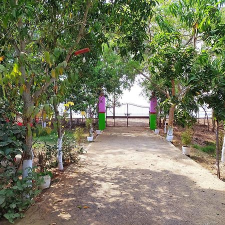 Estuarine Village Resort Satabhaya Luaran gambar