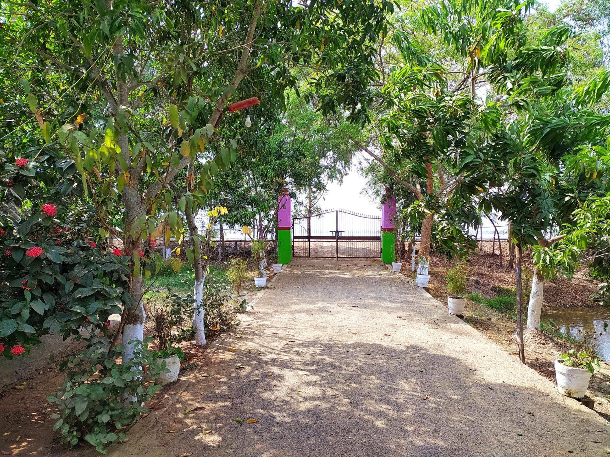 Estuarine Village Resort Satabhaya Luaran gambar