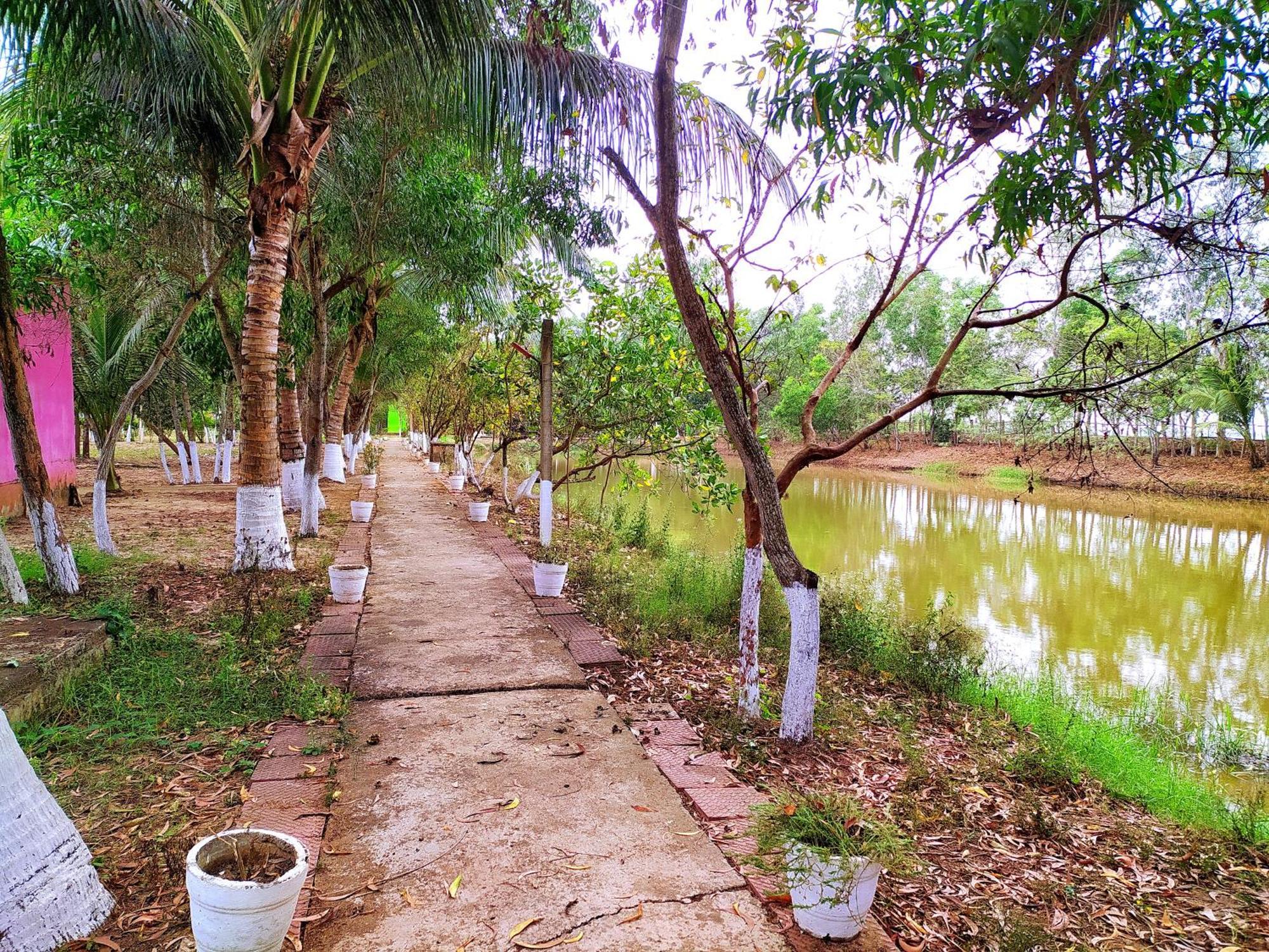 Estuarine Village Resort Satabhaya Luaran gambar