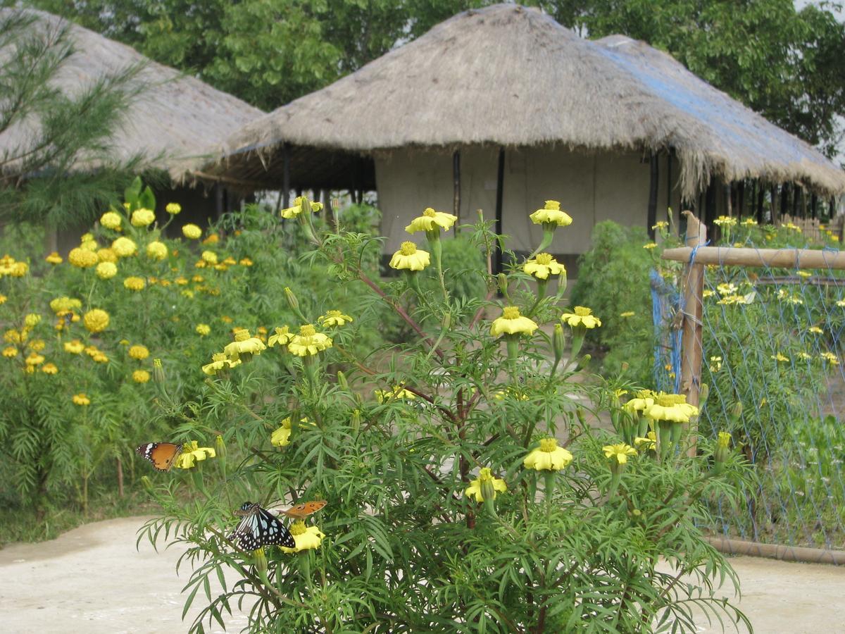 Estuarine Village Resort Satabhaya Luaran gambar
